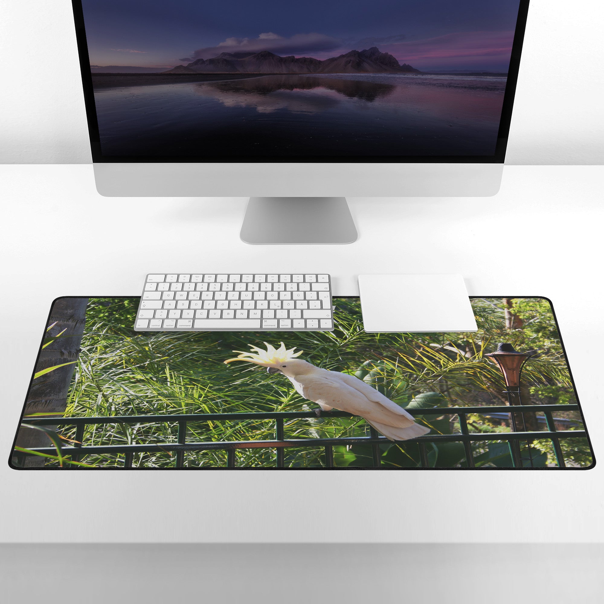 What?! X-tra Large Deskmat.